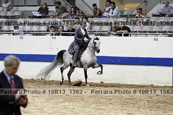 Proof 10r13_1562