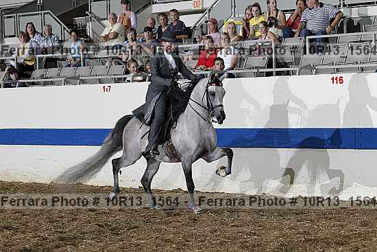 Proof 10r13_1564