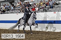 10r13_1564 proof