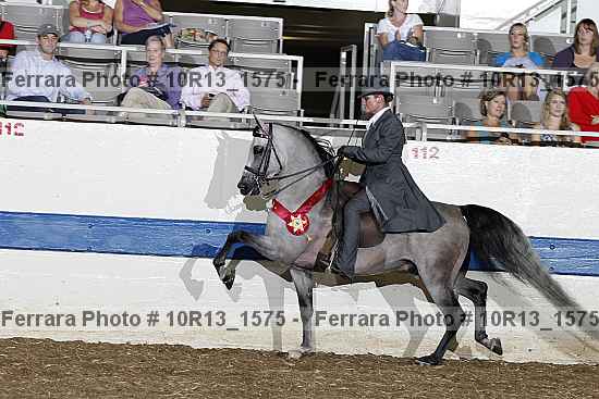 Proof 10r13_1575
