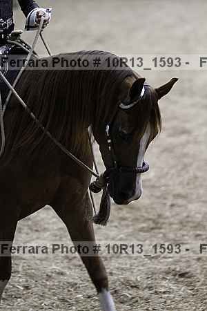 Proof 10r13_1593