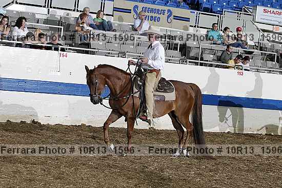 Proof 10r13_1596