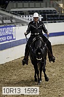 10r13_1599 proof