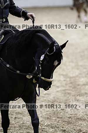 Proof 10r13_1602