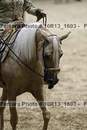 Proof 10r13_1603