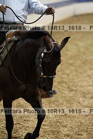 Proof 10r13_1618