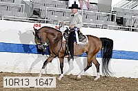 10r13_1647 proof