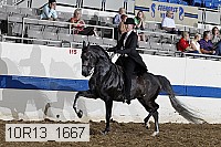 10r13_1667 proof