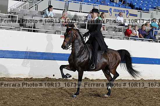 Proof 10r13_1673