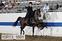 10r13_1691 proof