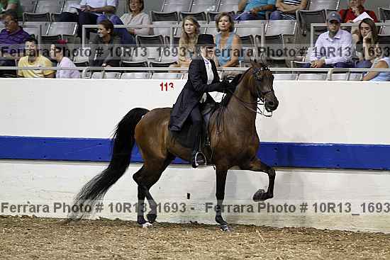 Proof 10r13_1693