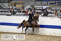 10r13_1703 proof