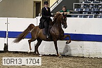 10r13_1704 proof