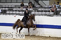 10r13_1709 proof