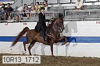 10r13_1712 proof