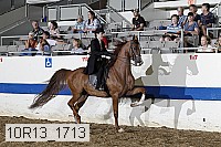 10r13_1713 proof