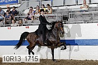 10r13_1715 proof