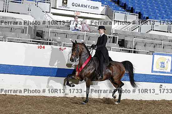 Proof 10r13_1733