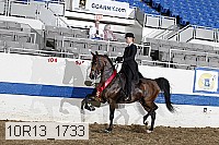 10r13_1733 proof