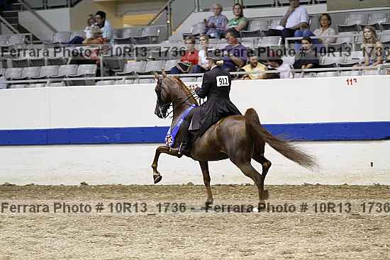 Proof 10r13_1736