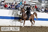 10r13_1767 proof