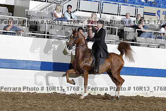 Proof 10r13_1768