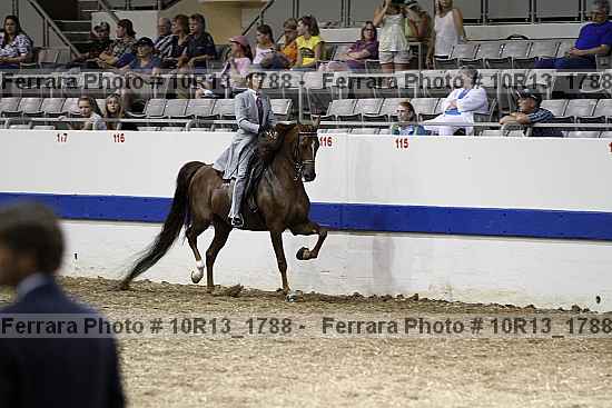 Proof 10r13_1788