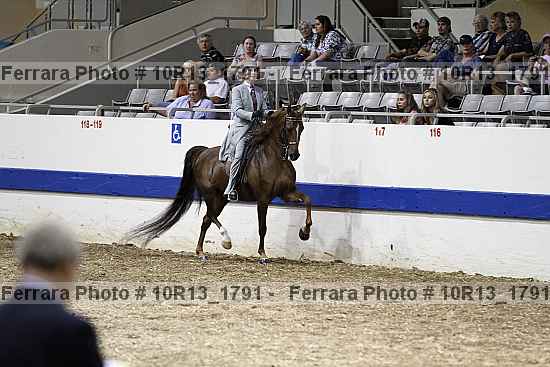 Proof 10r13_1791