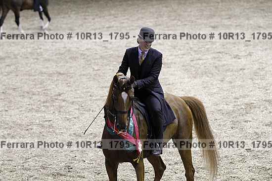 Proof 10r13_1795