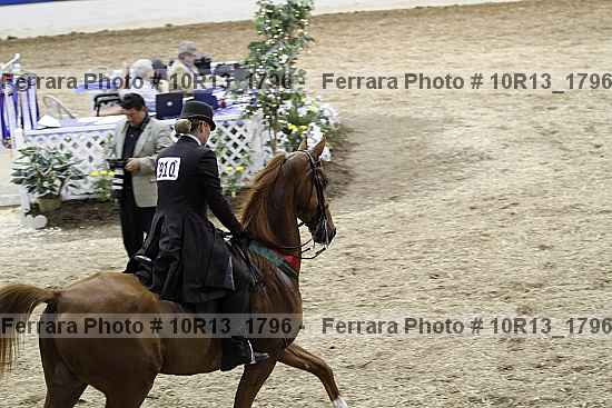 Proof 10r13_1796