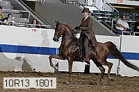 10r13_1801 proof
