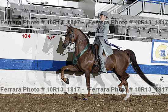 Proof 10r13_1817