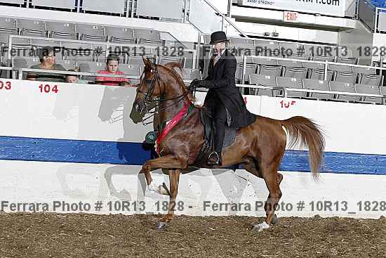 Proof 10r13_1828