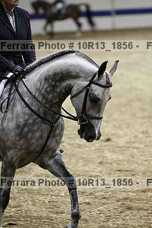 Proof 10r13_1856
