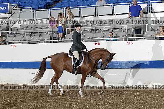 Proof 10r13_1866