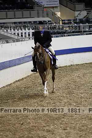 Proof 10r13_1881