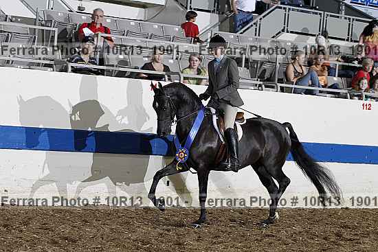 Proof 10r13_1901