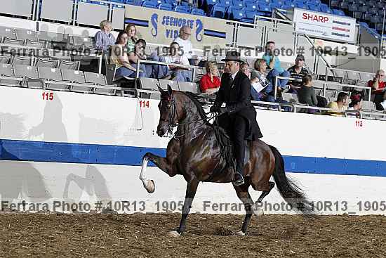 Proof 10r13_1905