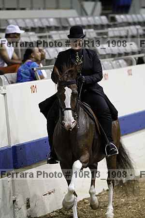 Proof 10r13_1908