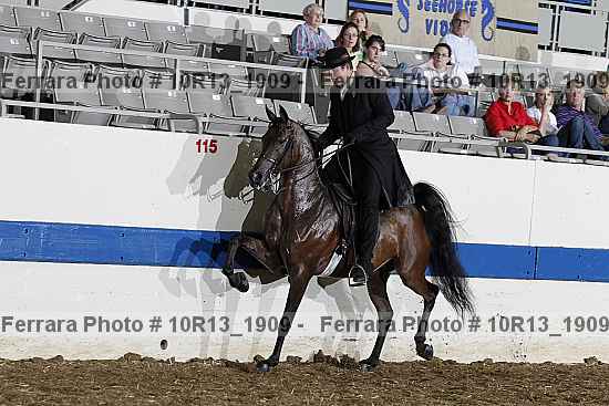 Proof 10r13_1909
