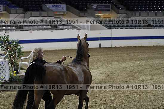 Proof 10r13_1951
