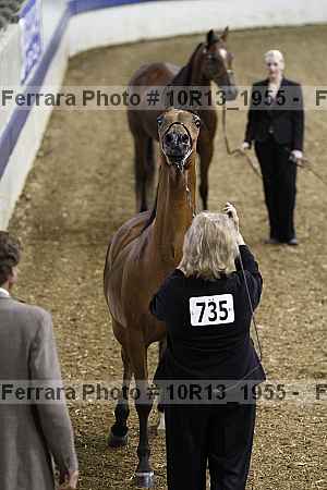 Proof 10r13_1955