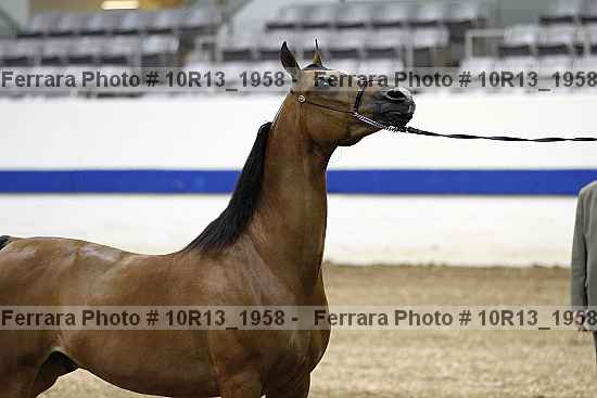 Proof 10r13_1958