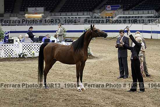 Proof 10r13_1964