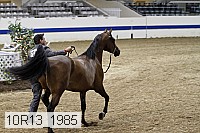 10r13_1985 proof