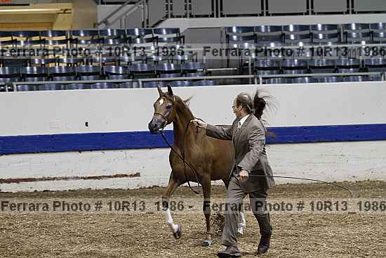 Proof 10r13_1986