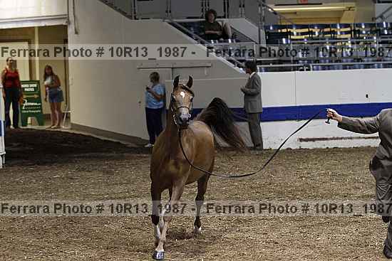 Proof 10r13_1987