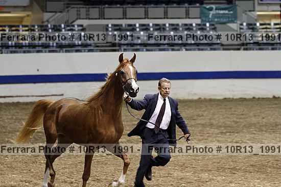 Proof 10r13_1991