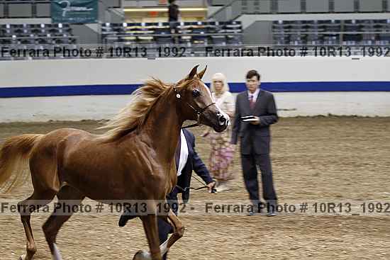 Proof 10r13_1992