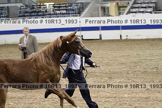 Proof 10r13_1993